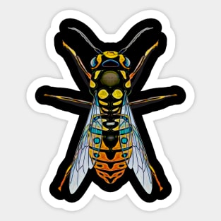 Wasp Five Sticker